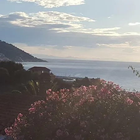 Jone Holiday home